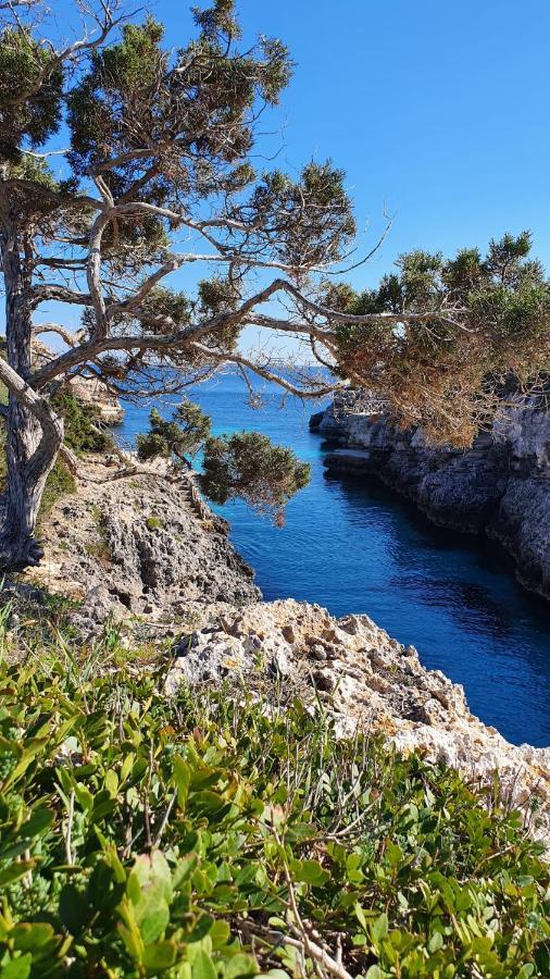 Villa Sirena Cala'N Blanes  Eksteriør billede